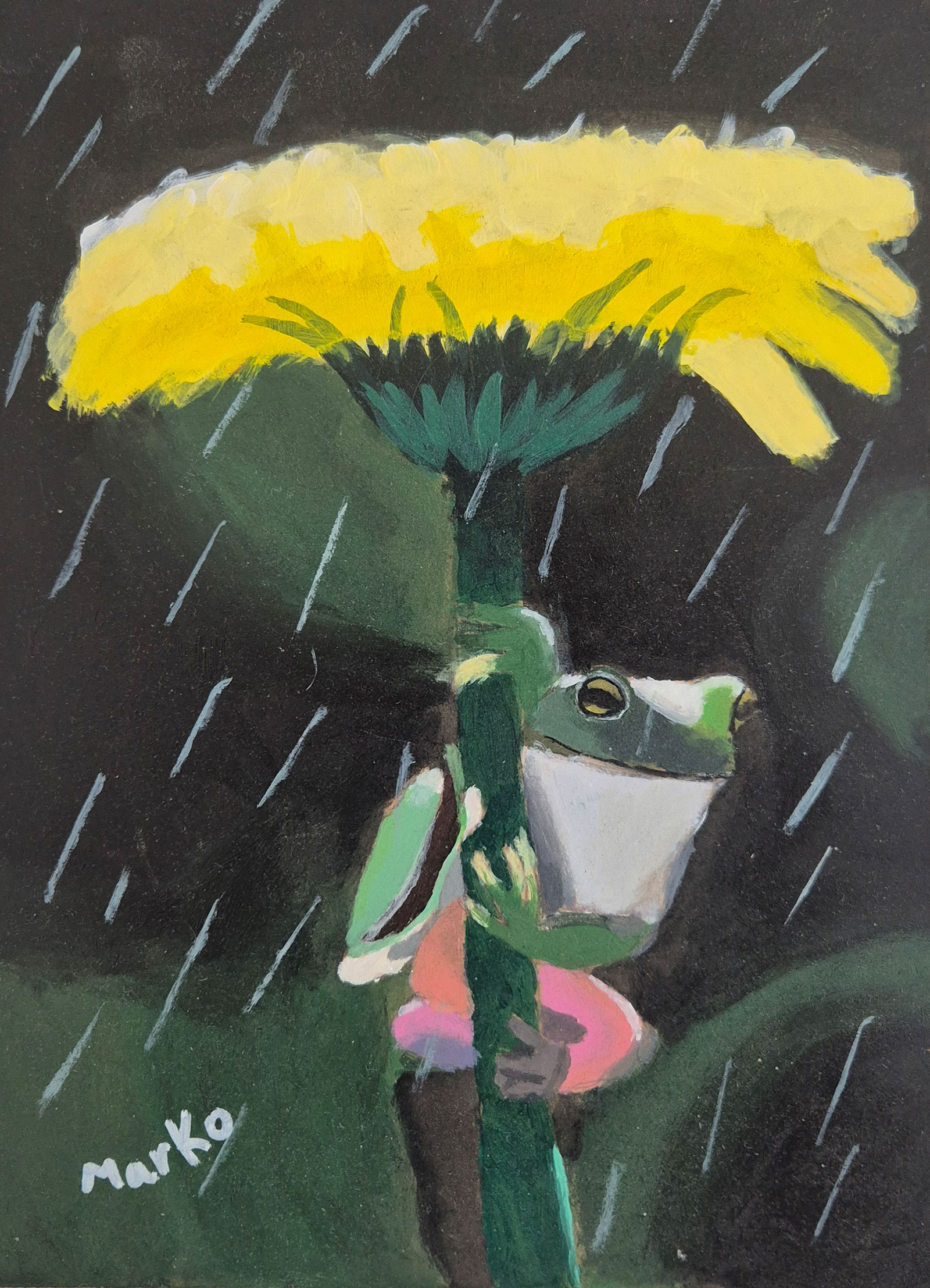 La rana con la flor